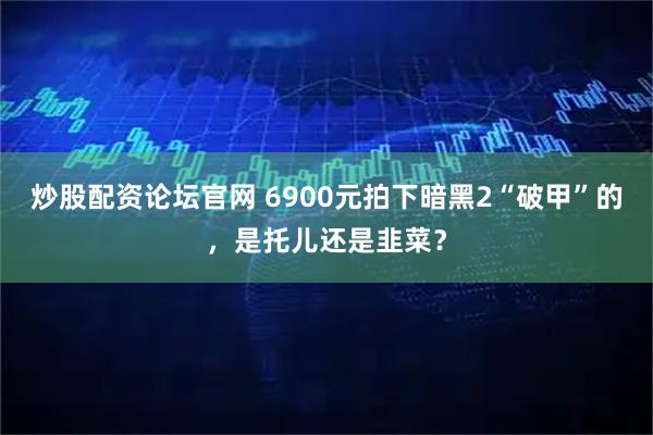 炒股配资论坛官网 6900元拍下暗黑2“破甲”的，是托儿还是韭菜？